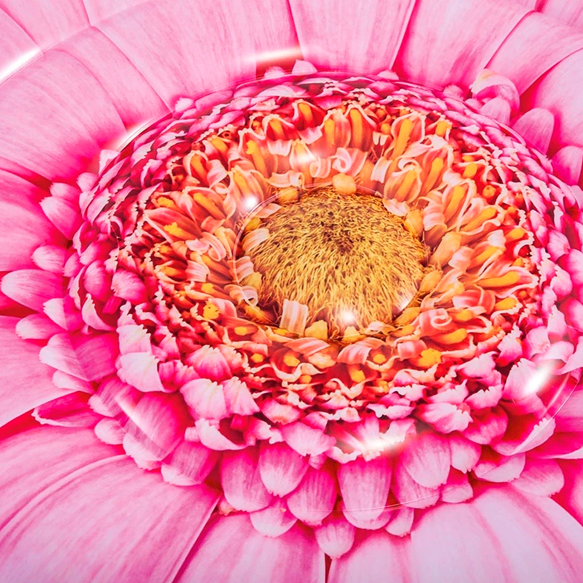 Flotador Flor Inflable Piscina 58787EU